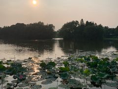 -新江湾城公园