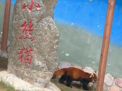 -栾川竹海野生动物园