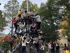 -宁波儿童公园(鄞州区)