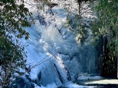 -龙苍沟森林公园