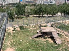 -青藏高原野生动物园