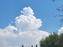 -呈贡滇池生态湿地公园