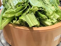 油麦菜-龍歌自助小火锅(李沧丽达店)