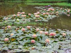 -广州市白云山风景名胜区