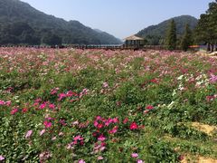 风光自然-广州市石门国家森林公园