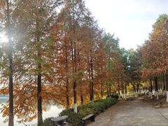 -江南大学(蠡湖校区)