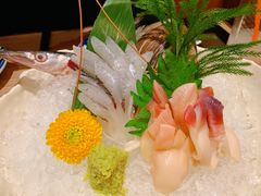 活北极贝-小山日本料理(太古汇店)