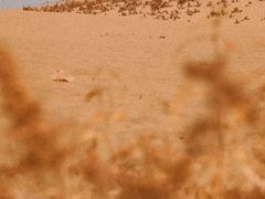 -黄沙古渡原生态旅游区
