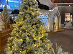 -大悦城(沈阳中街店)