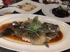 -望乡楼上海菜(日月光店)