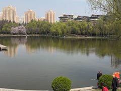 -清凉寺