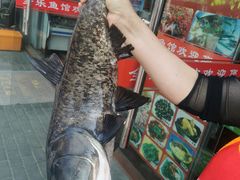 -全乐鱼馆·淳牌有机鱼直营店