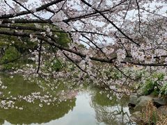 -上海植物园-4号门售票处