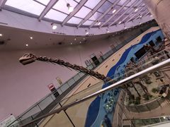 -陕西自然博物馆