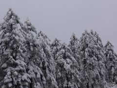 -瓦屋山景区