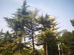 -西安市纺织公园