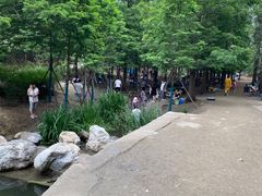-白水寺森林公园