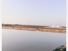 -莺歌海盐场