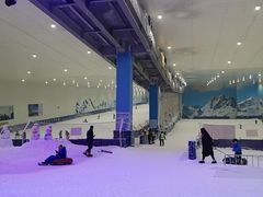 -重庆际华园室内极限运动中心