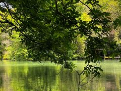 -白马涧龙池景区