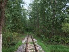 -合肥滨湖国家森林公园