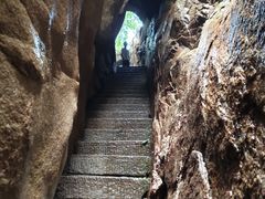 -鲁山国家森林公园