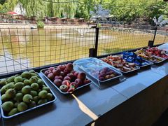 -亲兄弟真人CS团建拓展基地