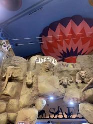 -卡通尼·Safari非洲探索乐园·生日会(金桥国际商业广场店)