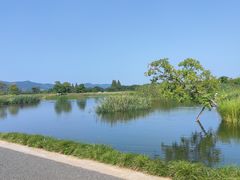 -良渚古城遗址公园