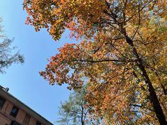 -中山大学（南校区）-英东游泳场