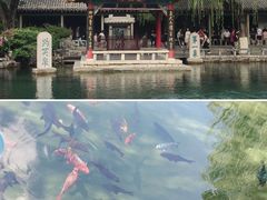 -济南大明湖景区