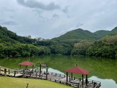 -雁南飞茶田景区
