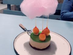 美人鱼芝士-随心小姐