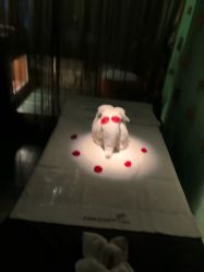 -琦品高端美容SPA会所