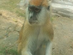 -泉州海丝野生动物世界