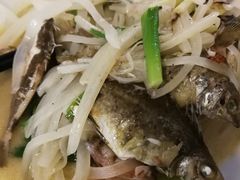萝卜煮杂鱼-金辉海鲜餐厅