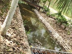 -合肥滨湖国家森林公园