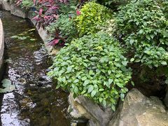 -南山植物园