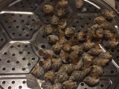 -陶缘一号·四季缘·老字号顺德菜·户外婚礼家宴(西滘店)