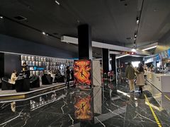 -奥斯卡升龙国际影城(RealD Cinema)