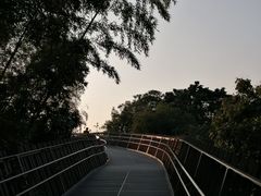 -福道