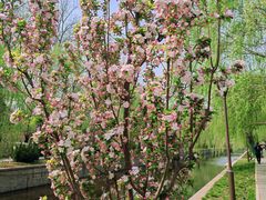 -元大都城垣遗址公园