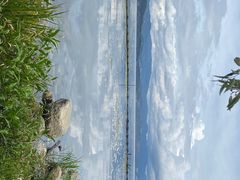 -才村湿地公园