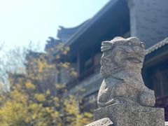 -龙潭水乡