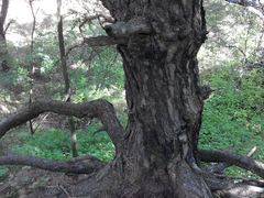 -维乐口腔医院(福清院)
