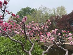 -元大都城垣遗址公园