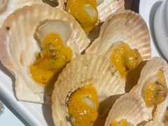 美乃滋焗菌菇扇贝-黑松白鹿(新活馆店)