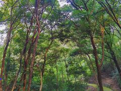 -飞霞风景名胜区