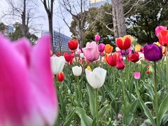 -大宁郁金香公园-停车场