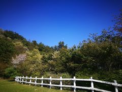 -神户市立六甲山牧场